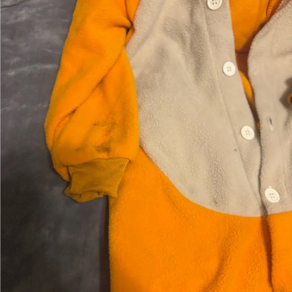Charizard Costume